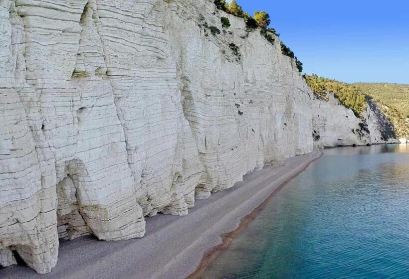 住宿加早餐  Apulia Bed&breakfast