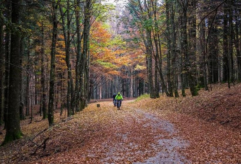 فندق Albergo Roma