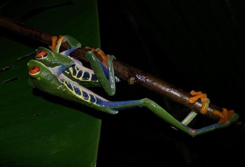 호텔 Arenal Monara