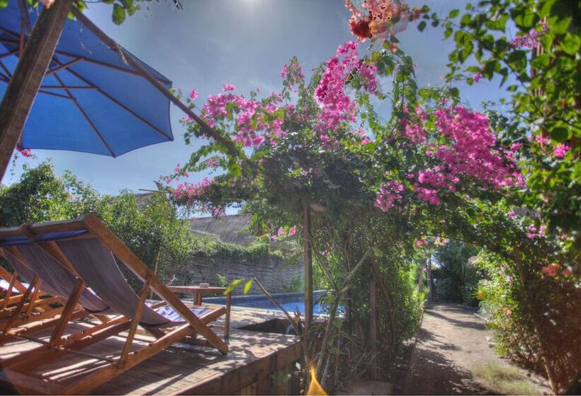 هتل Damai Bungalows