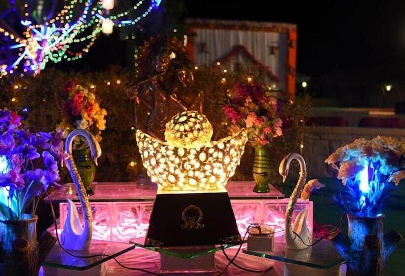 Отель Desert Glamping