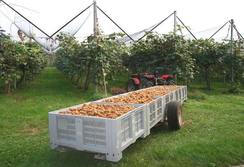 فندق ريفى Agriturismo La Meridiana