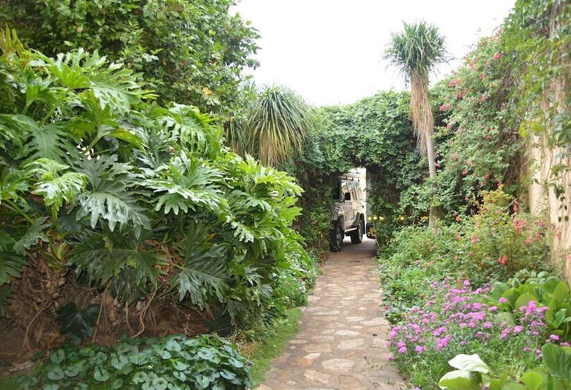 Отель Thaba Tsweni Lodge & Safaris