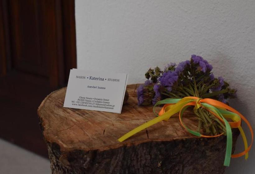 Studios Marina Naxos