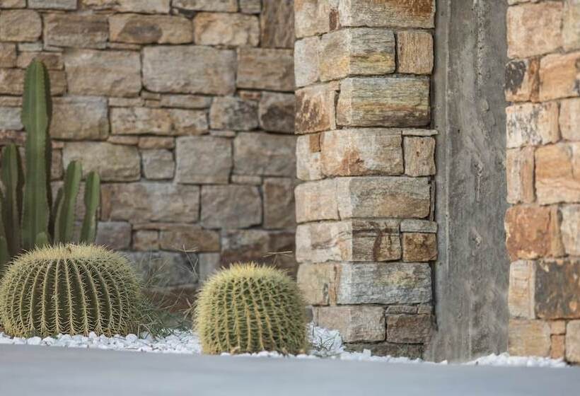 Naxos Euphoria Suites