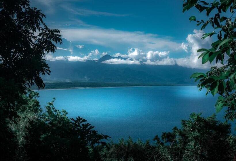 پانسیون Chamie S Transient House