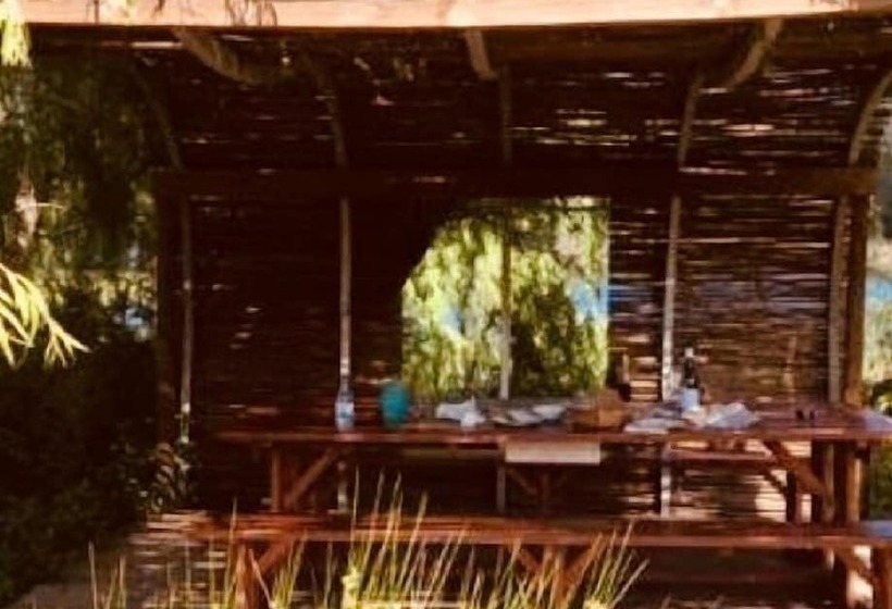 بنسيون De Oude Meul Guest House