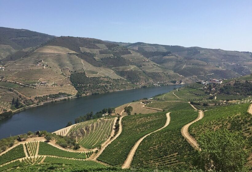 Пансион Refugio D Anita Douro Valley House