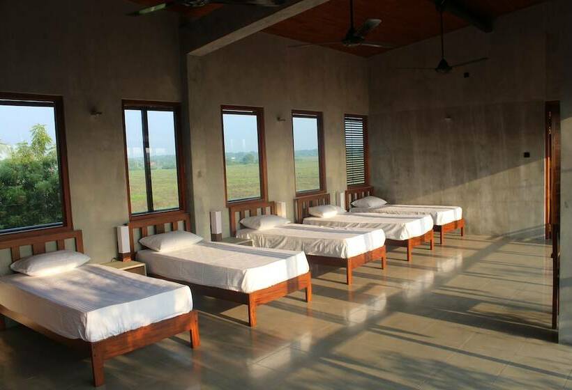 Пансион Tree Tops Yala