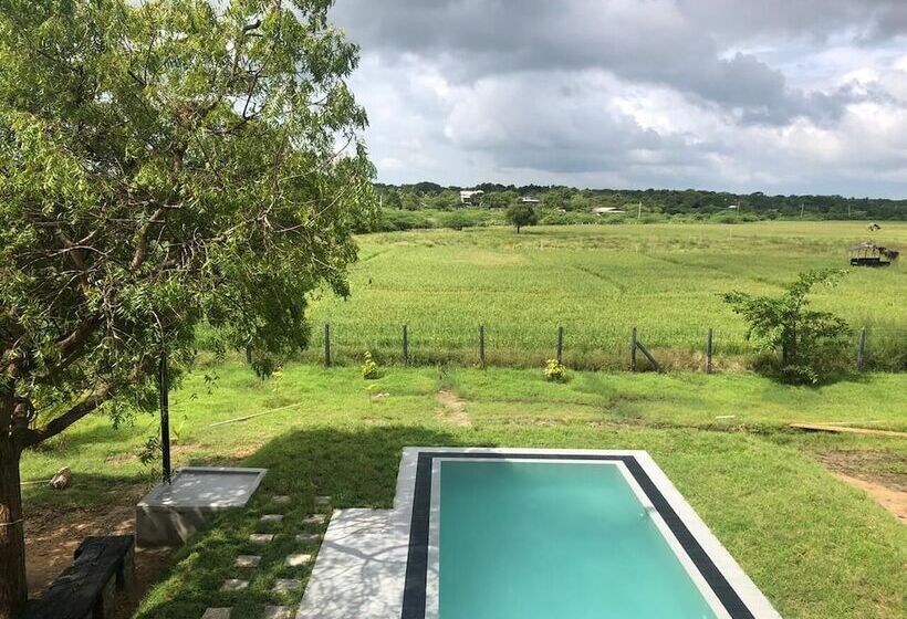 Пансион Tree Tops Yala