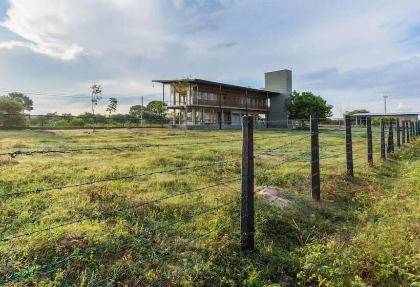 Пансион Tree Tops Yala