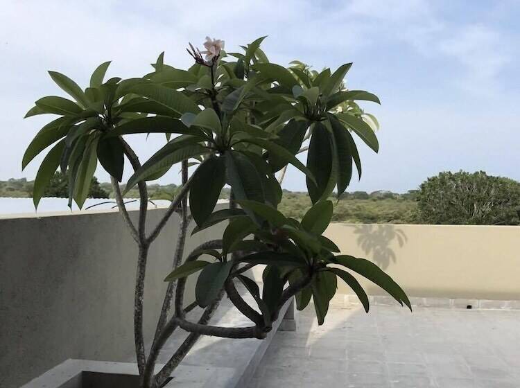 Пансион Tree Tops Yala