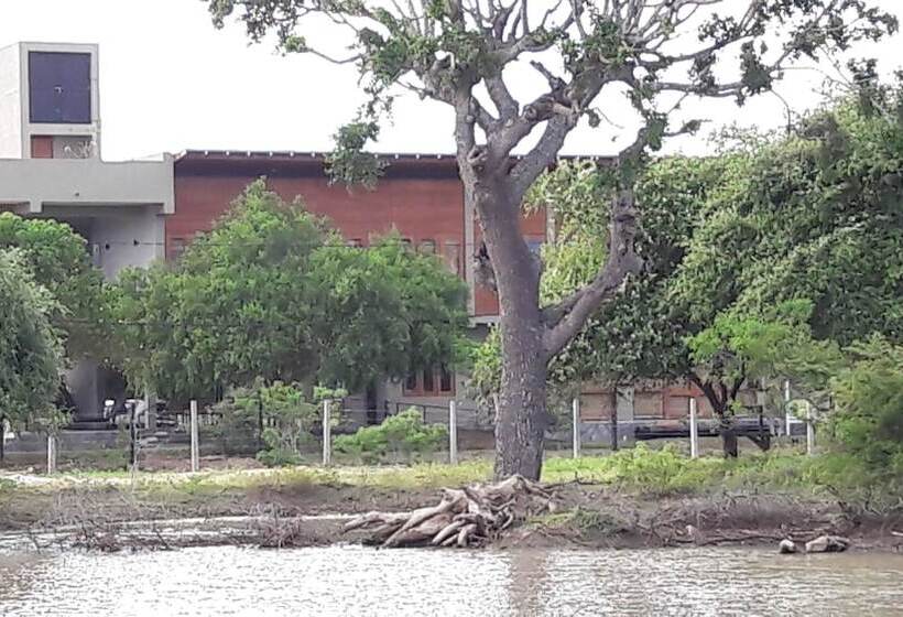 Пансион Tree Tops Yala