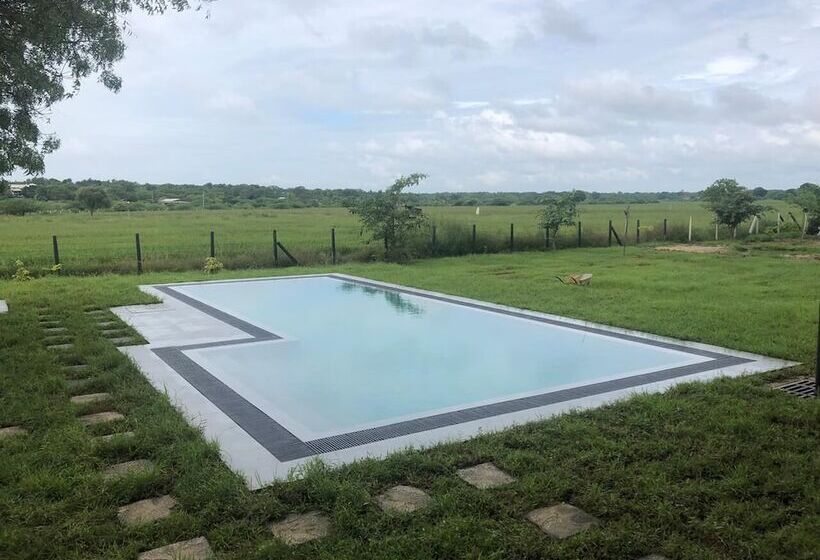 Пансион Tree Tops Yala