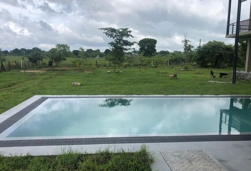 Пансион Tree Tops Yala