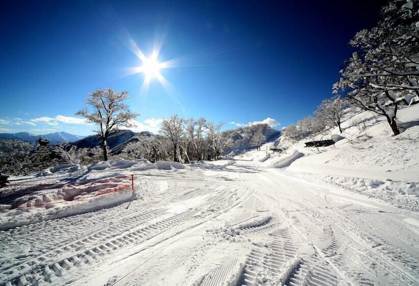 פנסיון Yuzawa Ski House