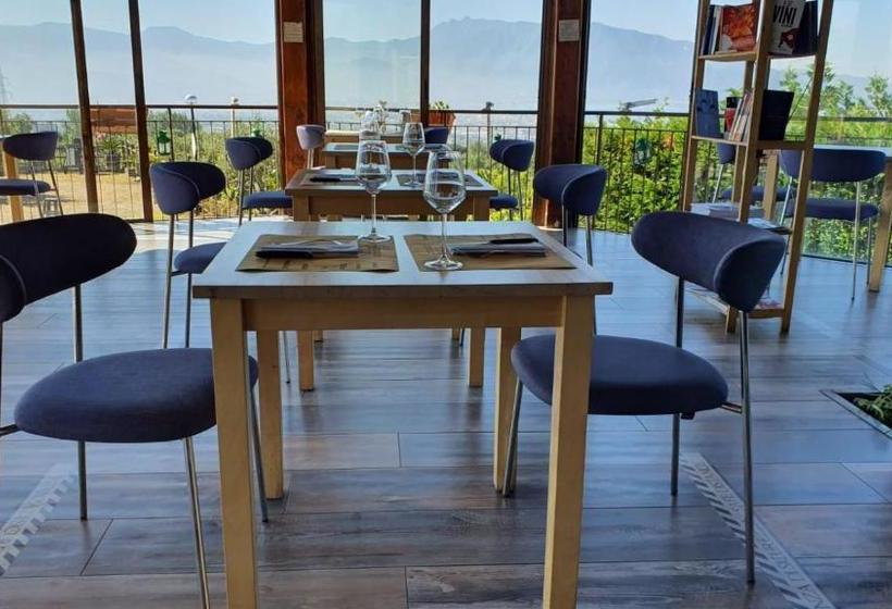 Vesuvio Inn Guest House E Wine Experience