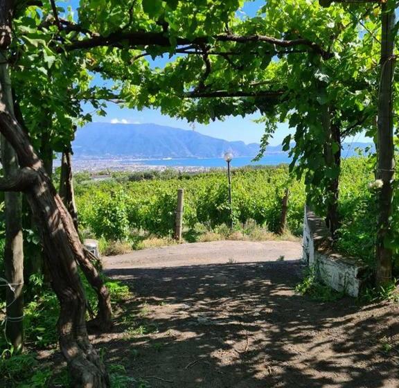 Vesuvio Inn Guest House E Wine Experience