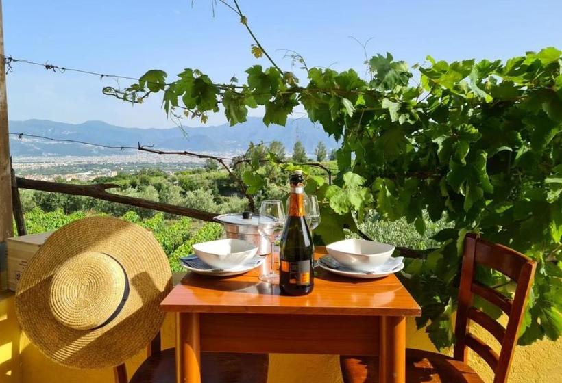 Vesuvio Inn Guest House E Wine Experience