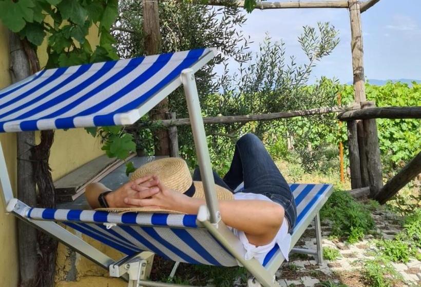 Vesuvio Inn Guest House E Wine Experience