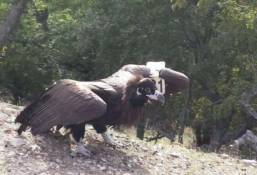 Apartments La Strada