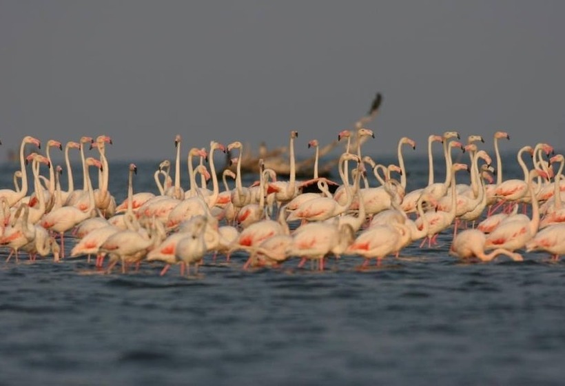 Apartments La Strada