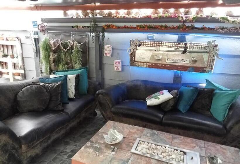 تختخواب و صبحانه Mitchell S Guesthouse