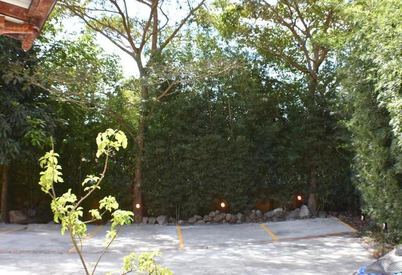 ベッドアンドブレックファースト Casa Alegria