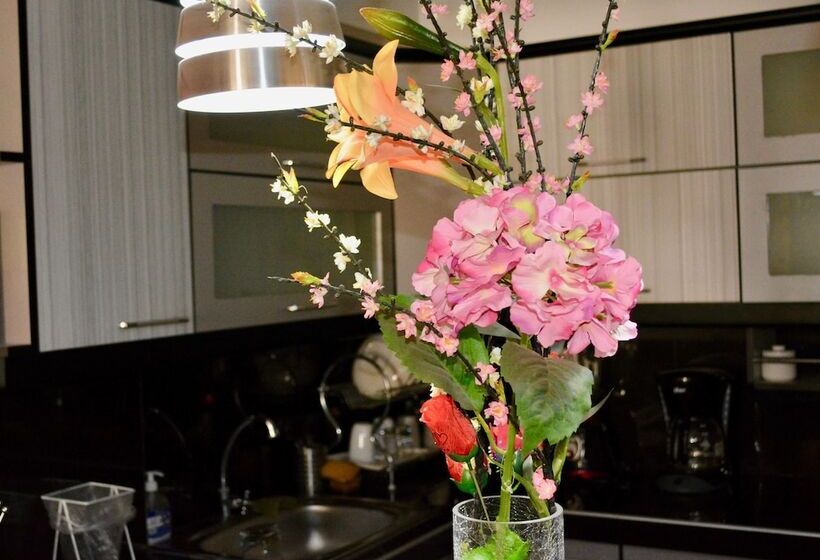 Comodo Y Seguro Homestay