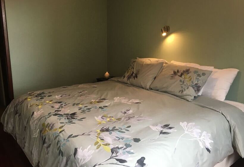 Comodo Y Seguro Homestay