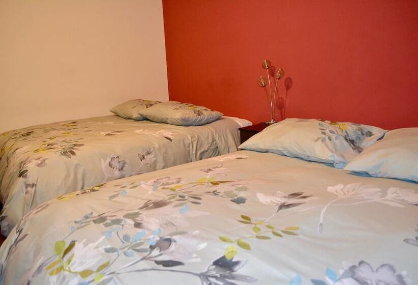 Comodo Y Seguro Homestay