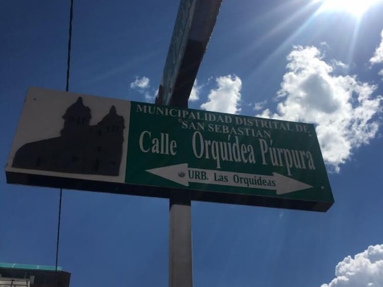 Comodo Y Seguro Homestay