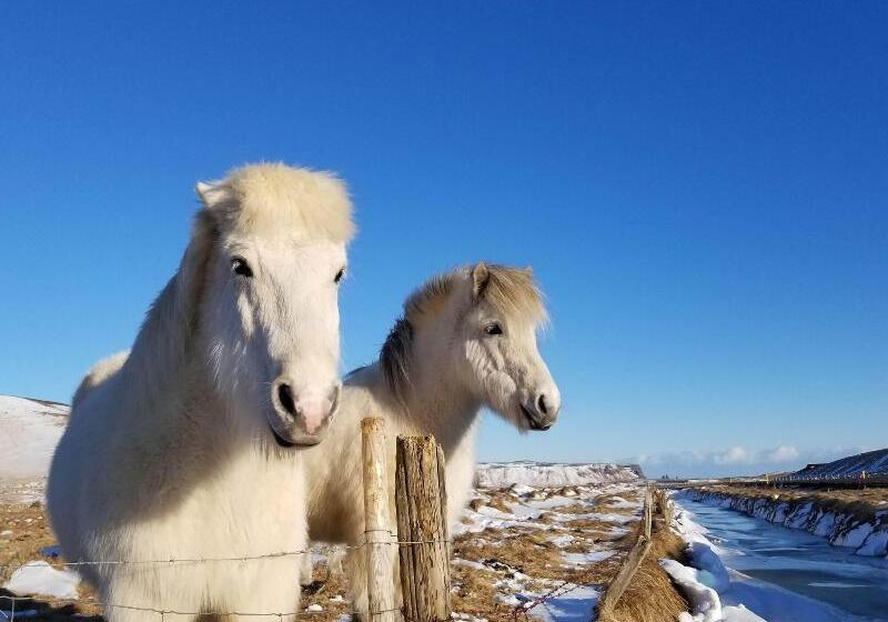 هتل Farmhouse Lodge
