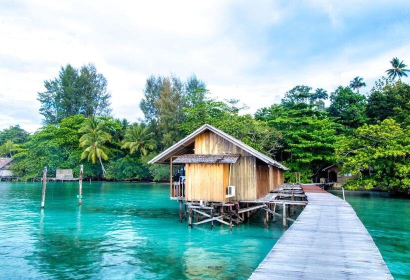 Отель Hamueco Dive Resort Raja Ampat