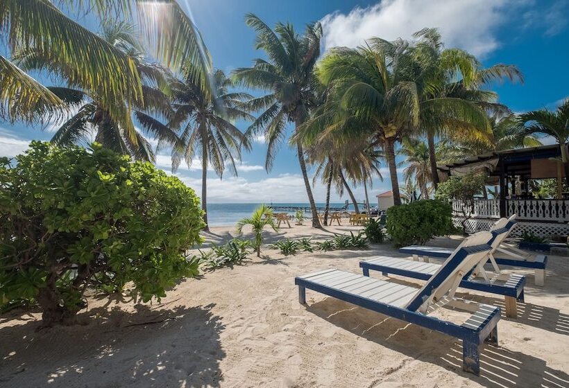 호텔 San Pedro Holiday