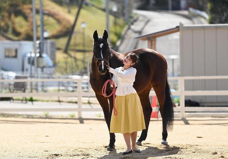 فندق Sun Resort Shirahama