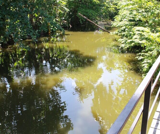 فندق Traveller's Lodge