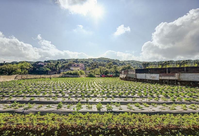 Отель Treebo Jp Cottage