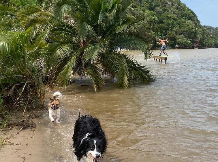 בית מלון כפרי Umtamvuna River Lodge