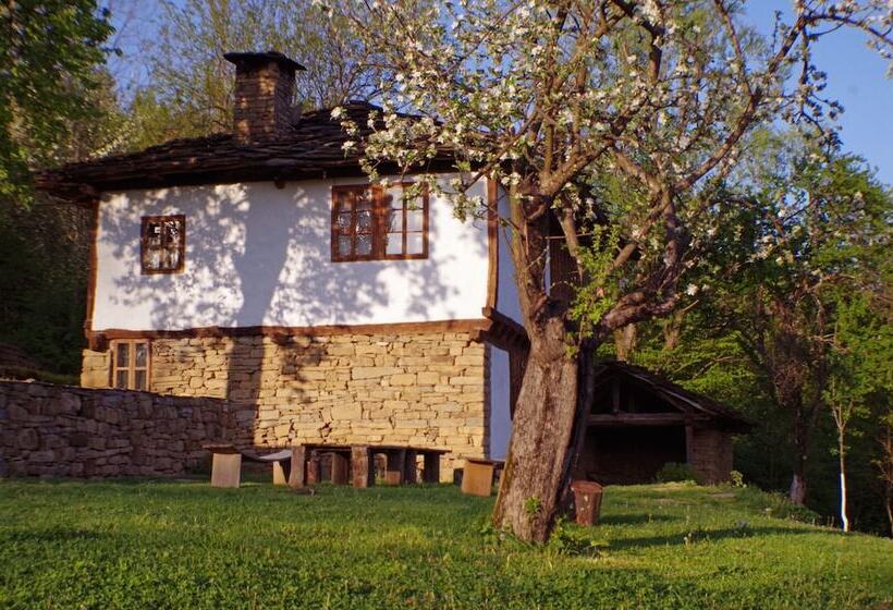 Karashka   Vacation Home