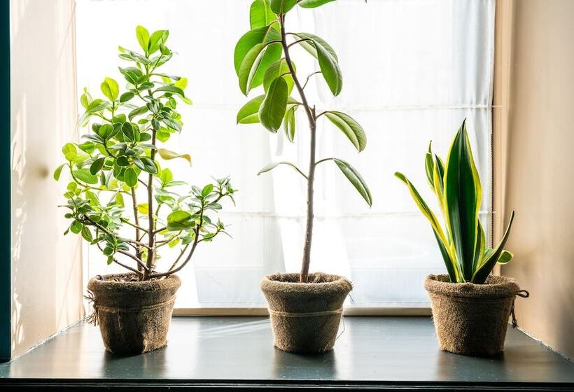 Kvartira N4 By Ginza Project