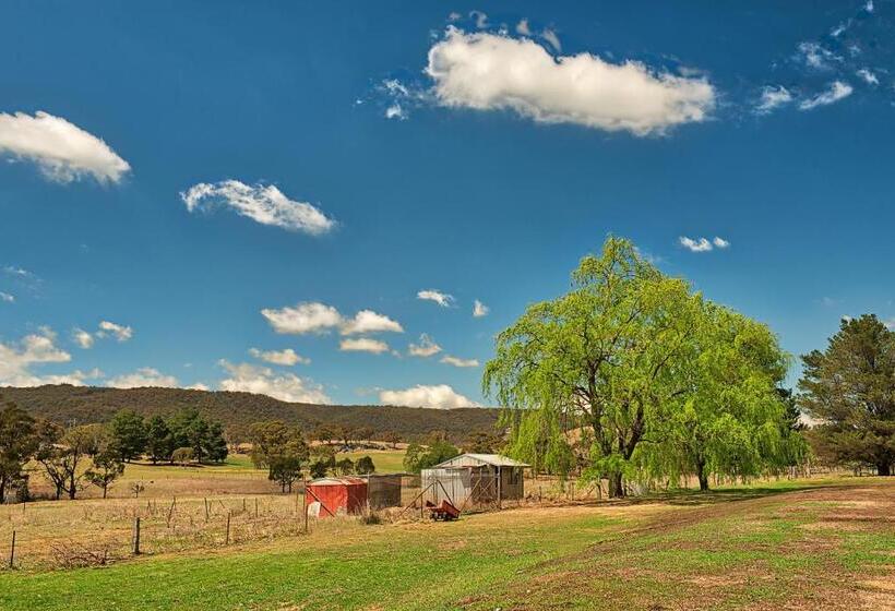 מוטל Bushman S Motor Inn