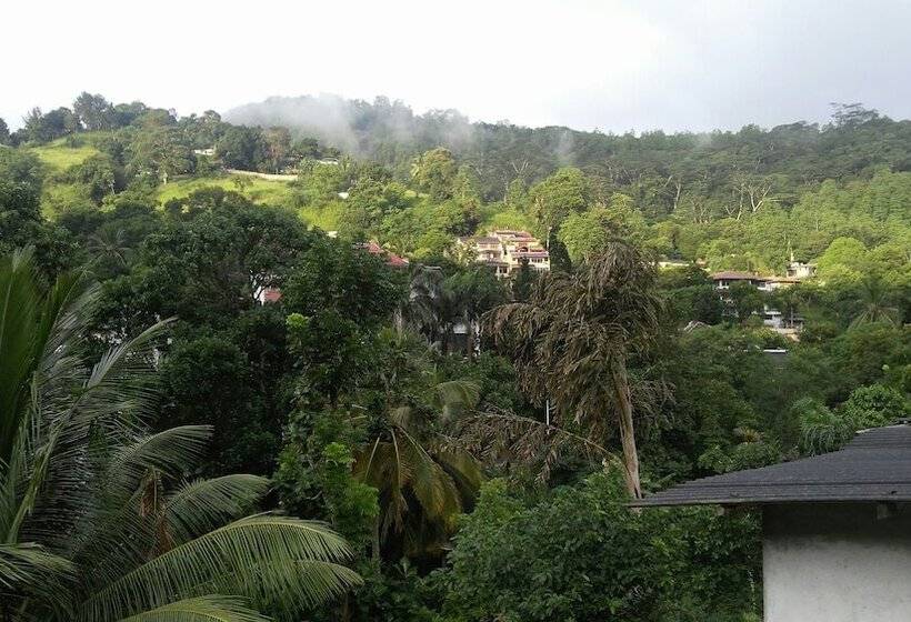 Пансион Cloud Inn Kandy Homestay