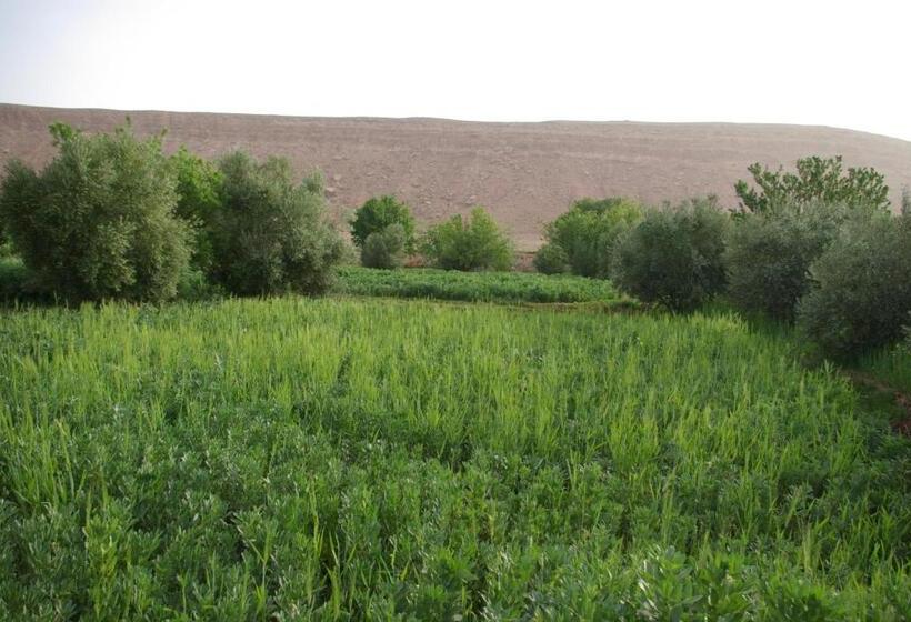 بنسيون Maison D Hôtes Nouflla