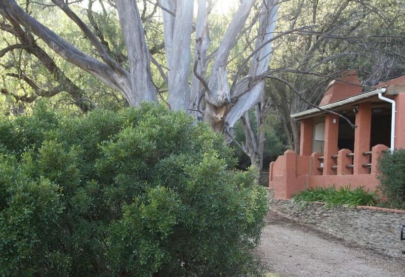 פנסיון Matjiesvlei Retreat 1945