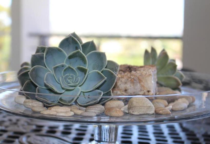 بنسيون Monte Vidéo Guest House