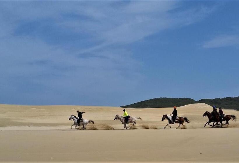 پانسیون Panorama Guest House