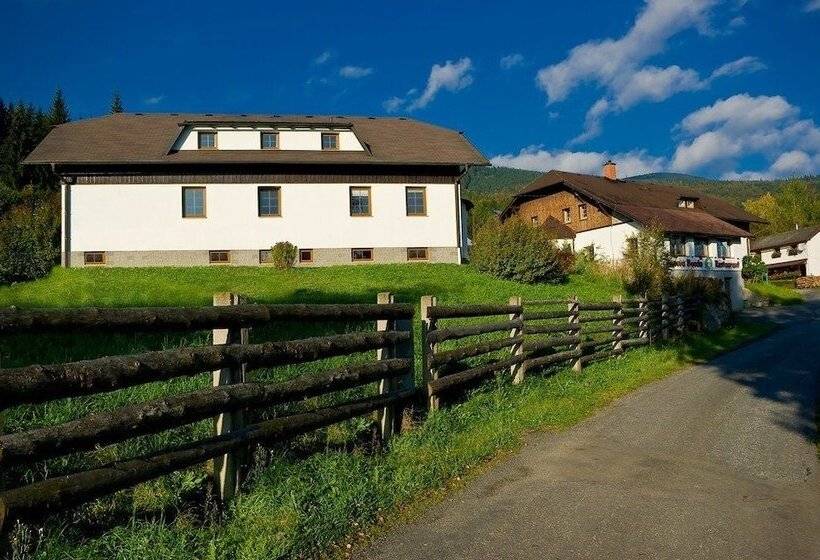 بنسيون Penzion Pepovka