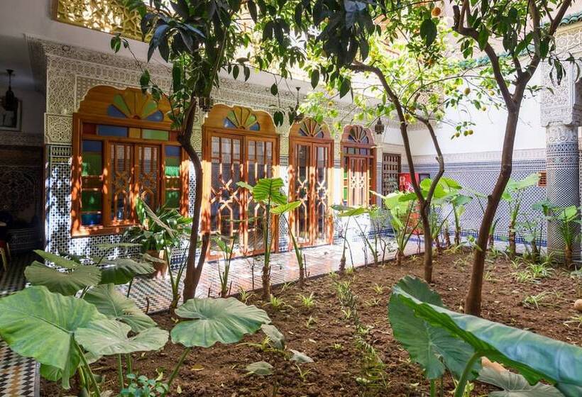 膳宿费 Riad Les Chrifis Navette Aeroport 24 Sur 24