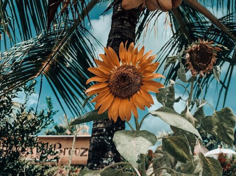 ペンション Uluwatu Breeze Village